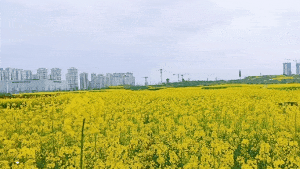 杭州太学眼科第二届