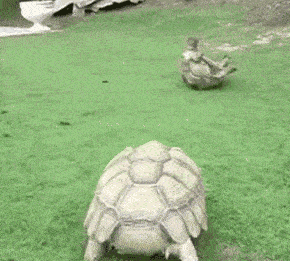 爆笑段子gif;现在的餐馆做的菜越来越不正经了!