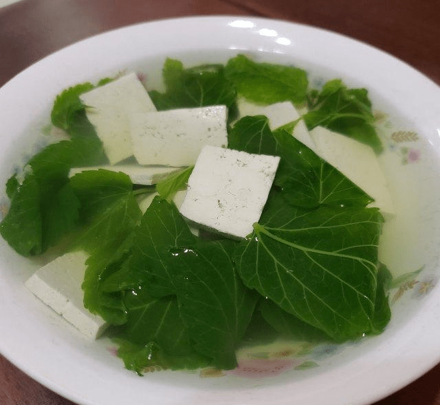 桑叶豆腐汤,清淡可口,即健康又营养快手汤_美食