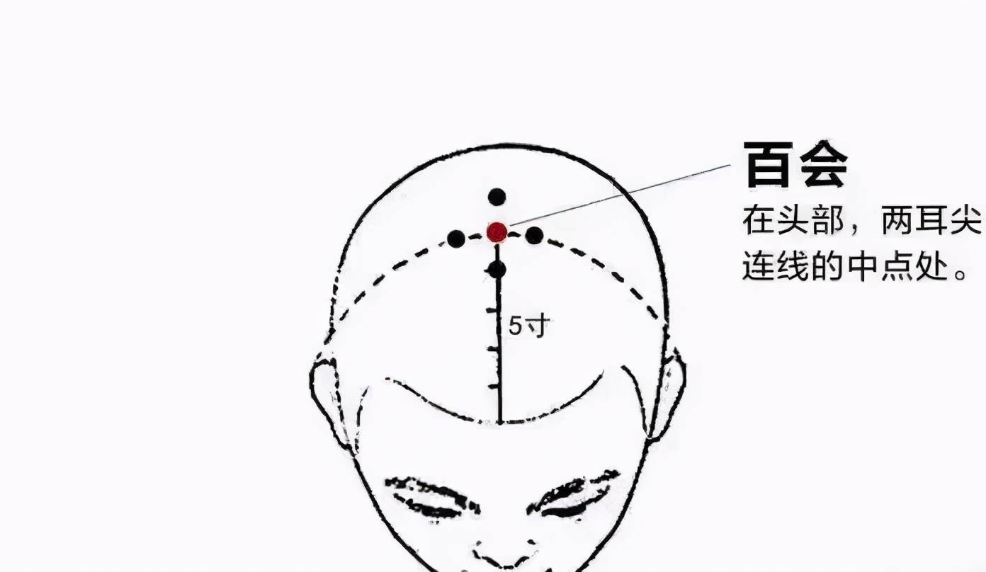 百会穴位属于督脉经穴,入络于脑,对该穴位进行针灸可以达到清头目,宁