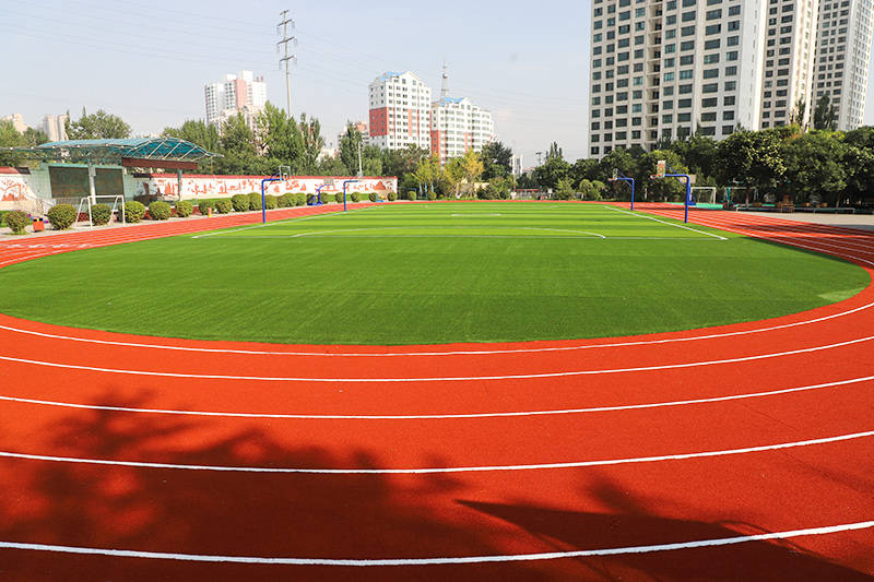 又一批高颜值中小学操场闪亮登场多利隆校园运动草坪