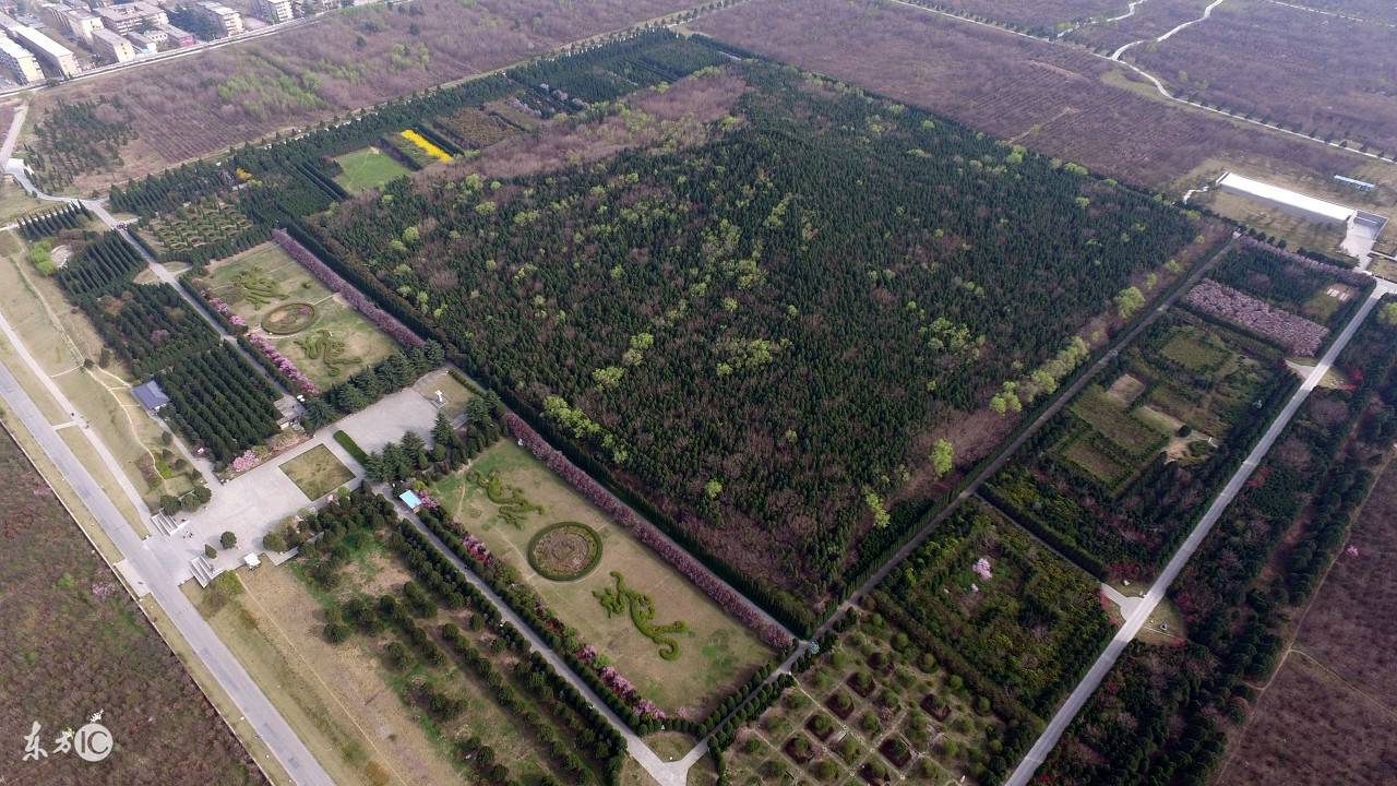 秦始皇陵墓石榴树冬天开花,考古队大喜:总算找到地宫位置了!