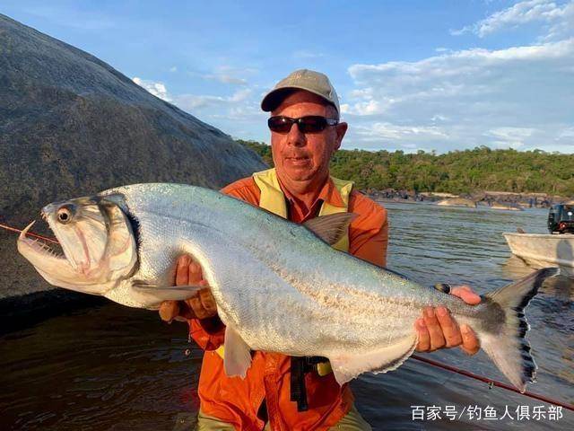 原创亚马逊河探钓恐怖的吸血鬼鱼,被当地渔民视为最为恐怖的鱼种