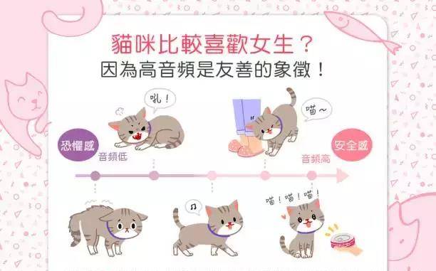 猫咪更喜欢男生还是女生?