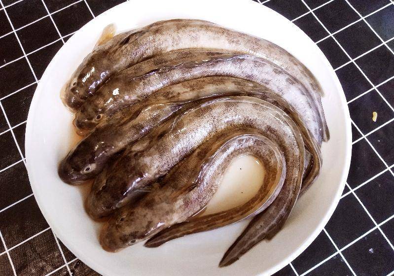 千滚豆腐万滚鱼此道狗杠子鱼炖豆腐最适合寒露时节吃