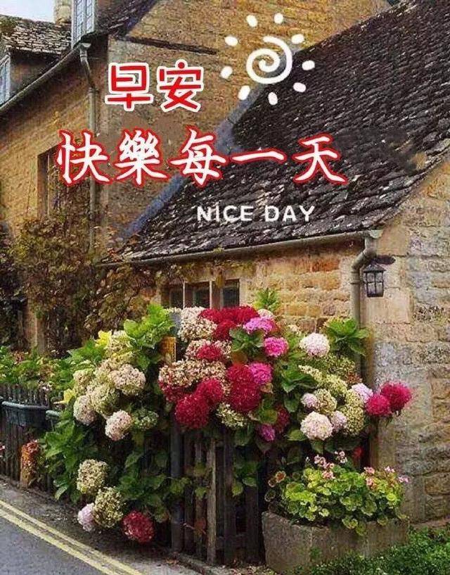 原创最新版早上好图片大全带字和鲜花2021年问候早上好的句子精选