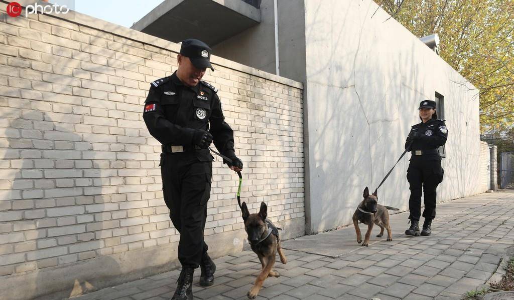 北京市公安局首批克隆犬正式入警_警犬基地