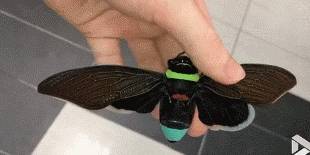 搞笑gif,,一定要避开新手女司机!不管她用什么交通工具!