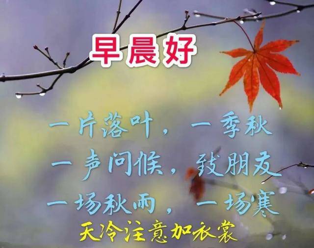 2021年早安心语,早上好祝福词句图片精选,坚持,是生命