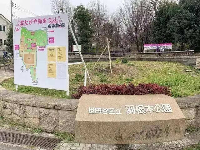 来太阳山谷,孩子们超喜欢的"危险"乐园!