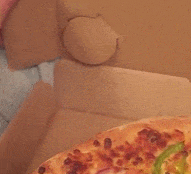 哈士奇开洋荤,吃披萨的方式太土了