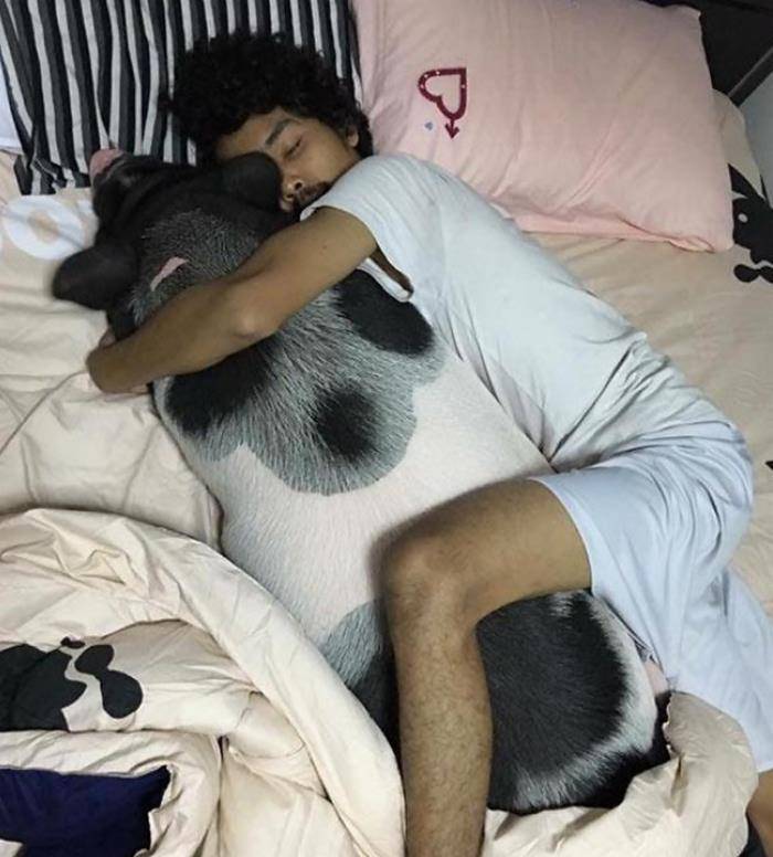 泰国男子养了一只宠物猪,每天都抱着它睡觉,没想到一年后变这样
