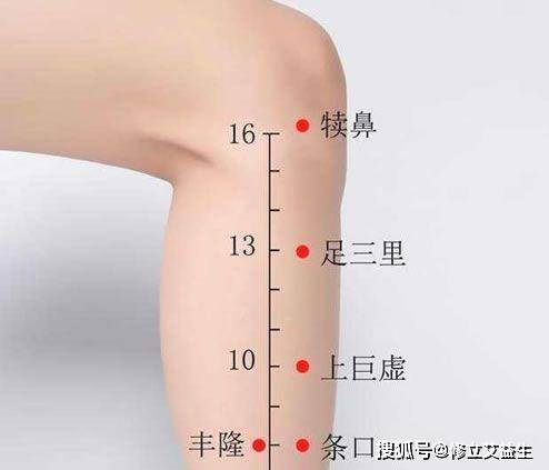 犊鼻的准确位置图 来自搜狐网