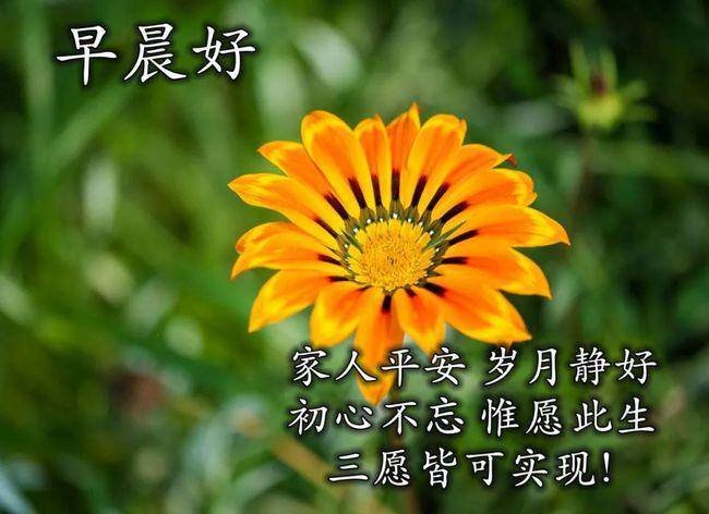 8张特别漂亮的亲人朋友早上好免打字图片带祝福语 早安问候语温馨图片