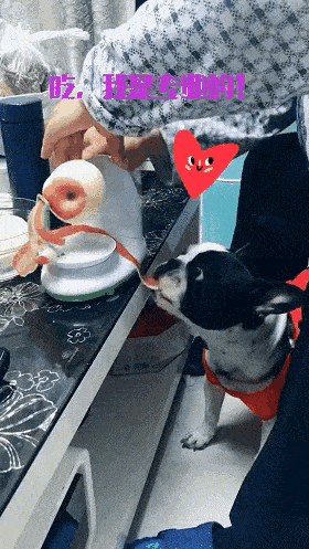 搞笑gif:好尴尬 为什么我老公跟别人不一样_大爷