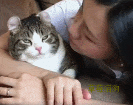 猫咪,猫咪一脸嫌弃,直接对主人翻白眼 猫咪:还要来,真是烦死朕了