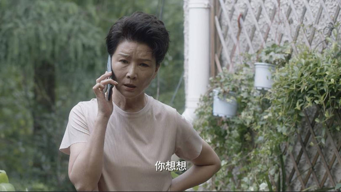 《小舍得》南俪被田雨岚算计,家庭,事业双危机,南俪绝地反击