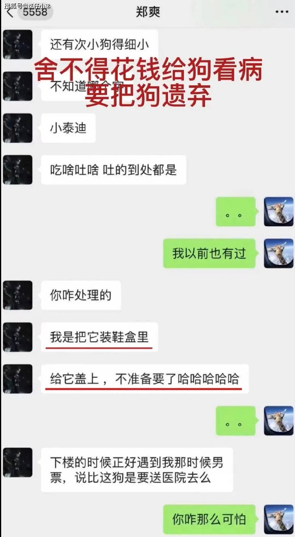 张恒爆料郑爽一家聊天记录,亲自指导逃税,超市吃喝不结账,丢弃宠物