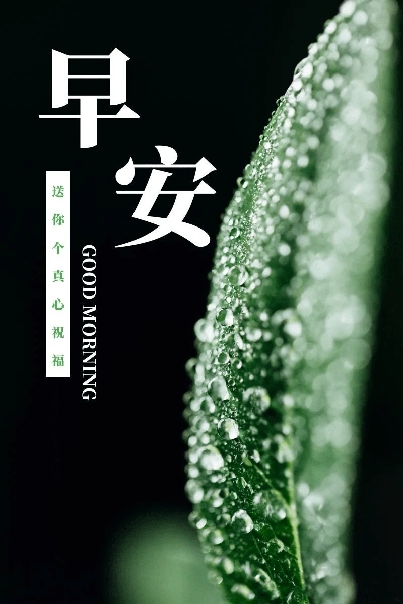 原创新的一天早安正能量语句最美早上好图片带字正能量