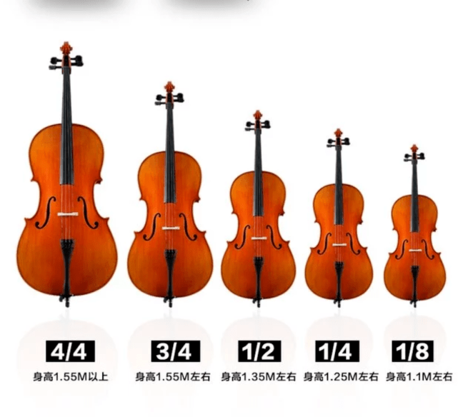 大提琴身高尺寸对照表