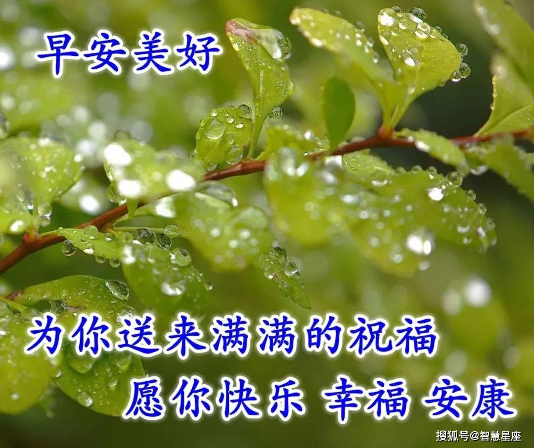 原创4月29日慰问家人朋友们早上好图片大全集,早晨问候语及关心话