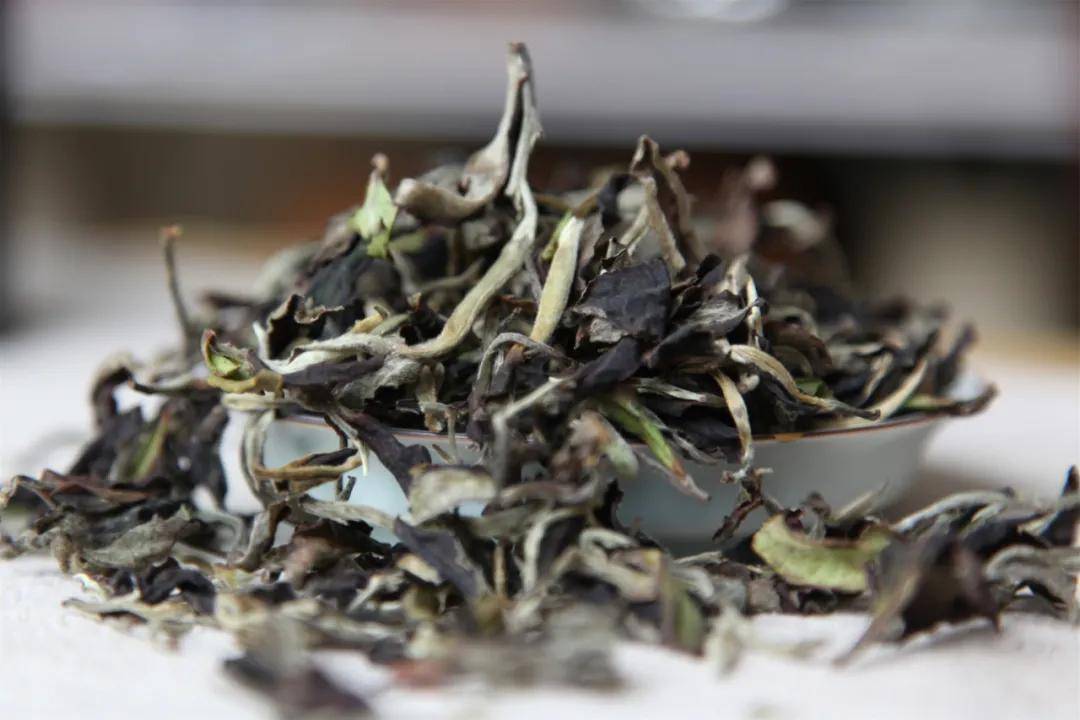 半晌人生半盏茶_白茶