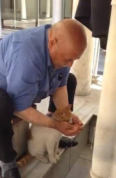 浪猫手太短喝不到水,暖心爷爷直接用手捧给它喝,看完心都暖了