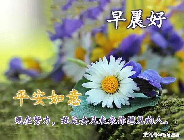 原创8张最美春日风景早安问候图片带字精选 春天早上好问候祝福图片带