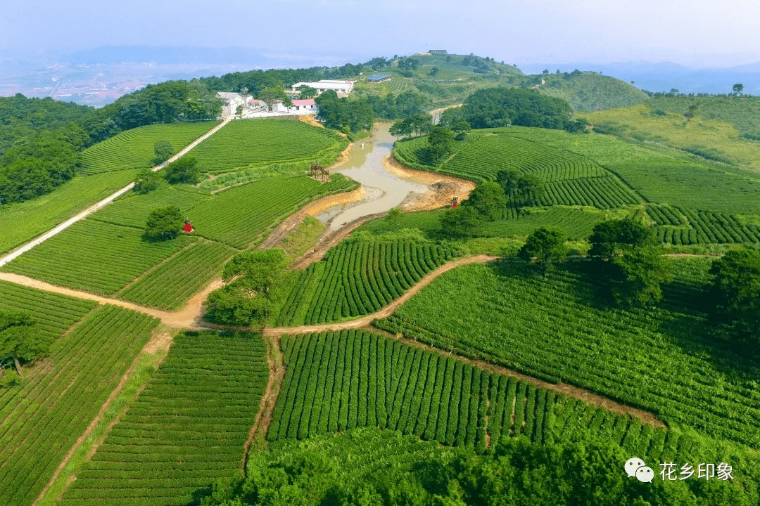 圣茶谷景区广西壮族自治区南宁市横县莲塘镇子村圣山风景区这个五一