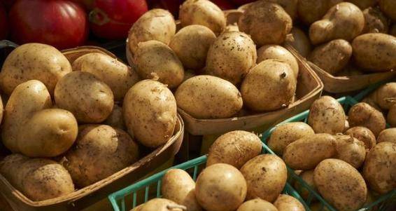 原创土豆不能和什么一起吃?土豆的6个食用禁忌