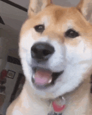 320_400 竖版 竖屏