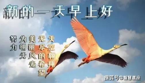 11张非常好看的美女早安问候表情图片 早上好发朋友圈