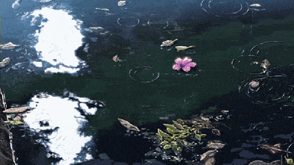 青春不再的惋惜: