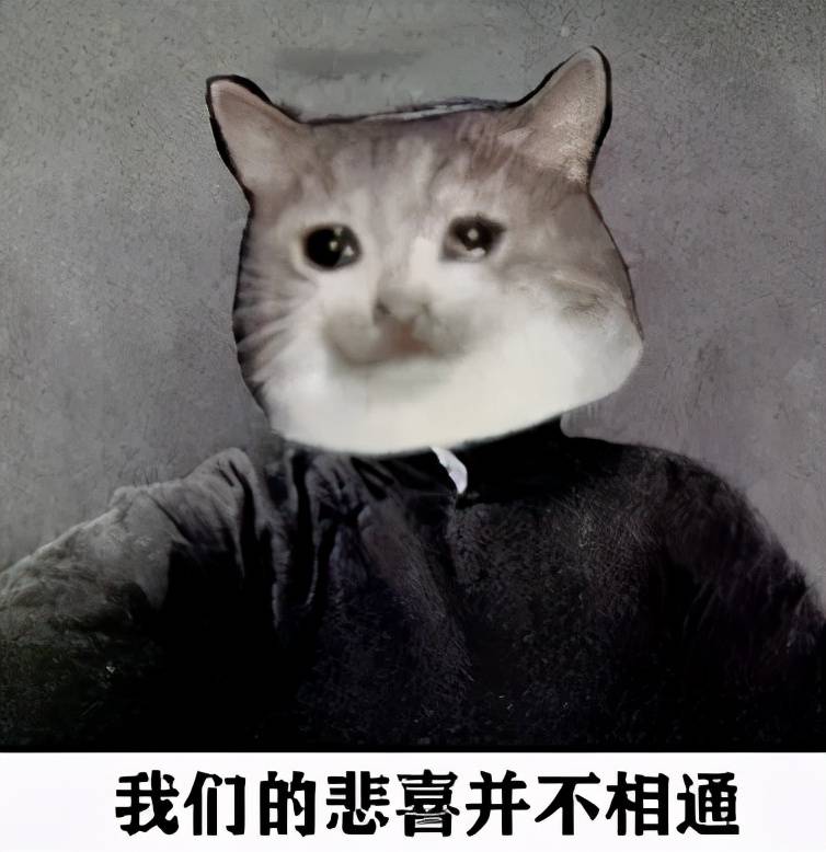 小猫咪能有什么坏心眼儿?不过是装哭骗感情罢了