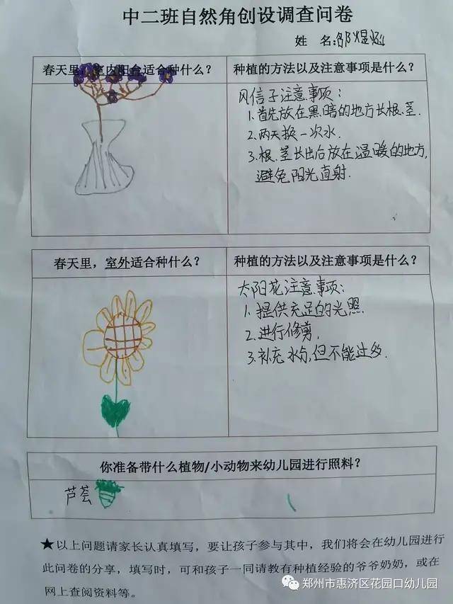 惠济区花园口幼儿园:种植区里的秘密-在种植活动中提升科学素养