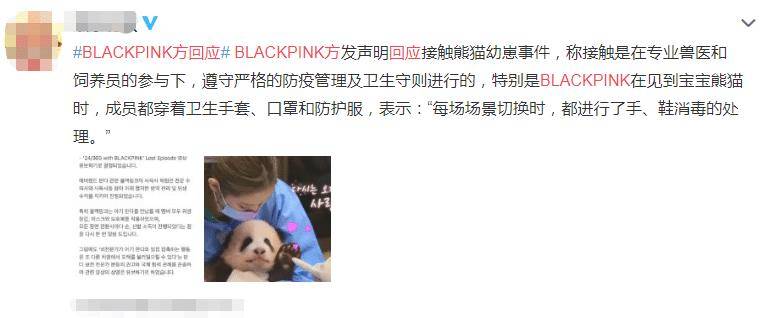 原创不道歉?央视点名blackpink违规抱福宝,公司:保留原视频