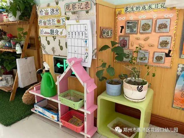 惠济区花园口幼儿园:种植区里的秘密-在种植活动中提升科学素养