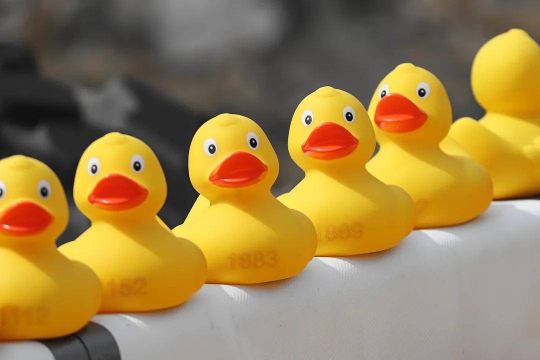duck soup 不只是鸭汤,弄错就尴尬了