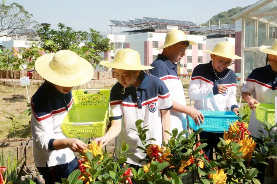 这所学校有田园—述评gcgs获评劳动教育特色学校_活动