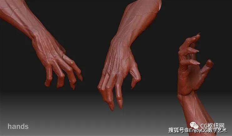 zbrush手臂结构参考合集人体雕刻必备素材