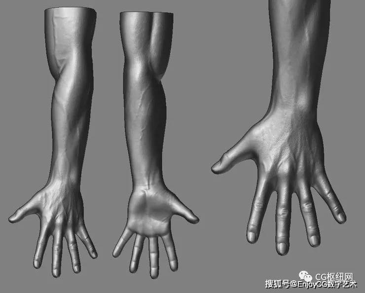 zbrush手臂结构参考合集人体雕刻必备素材