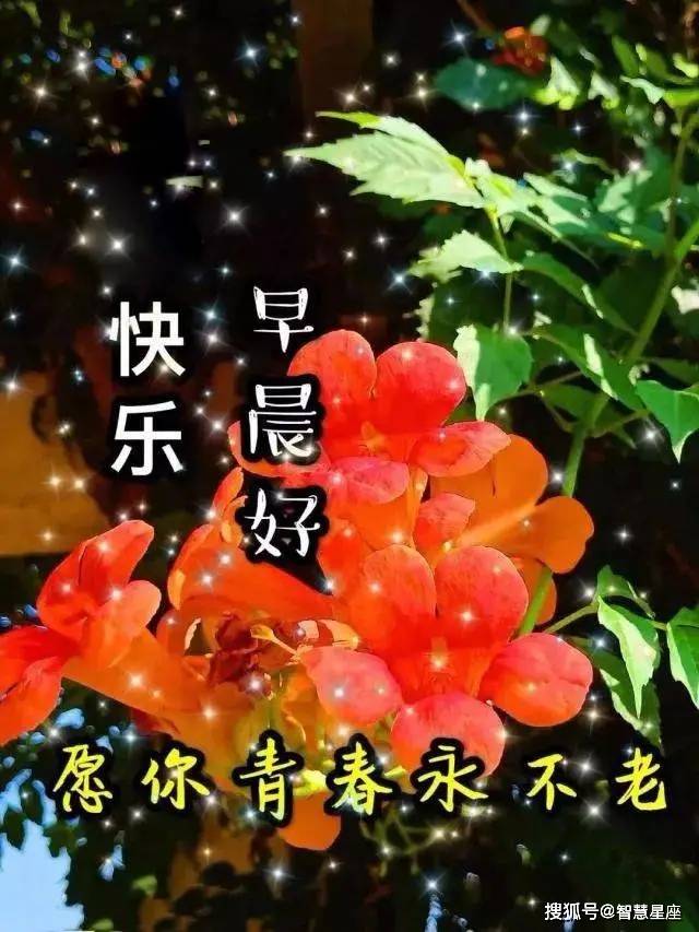 原创5月15日天气变热关心的早上好问候动态表情图片清晨问候大家早安