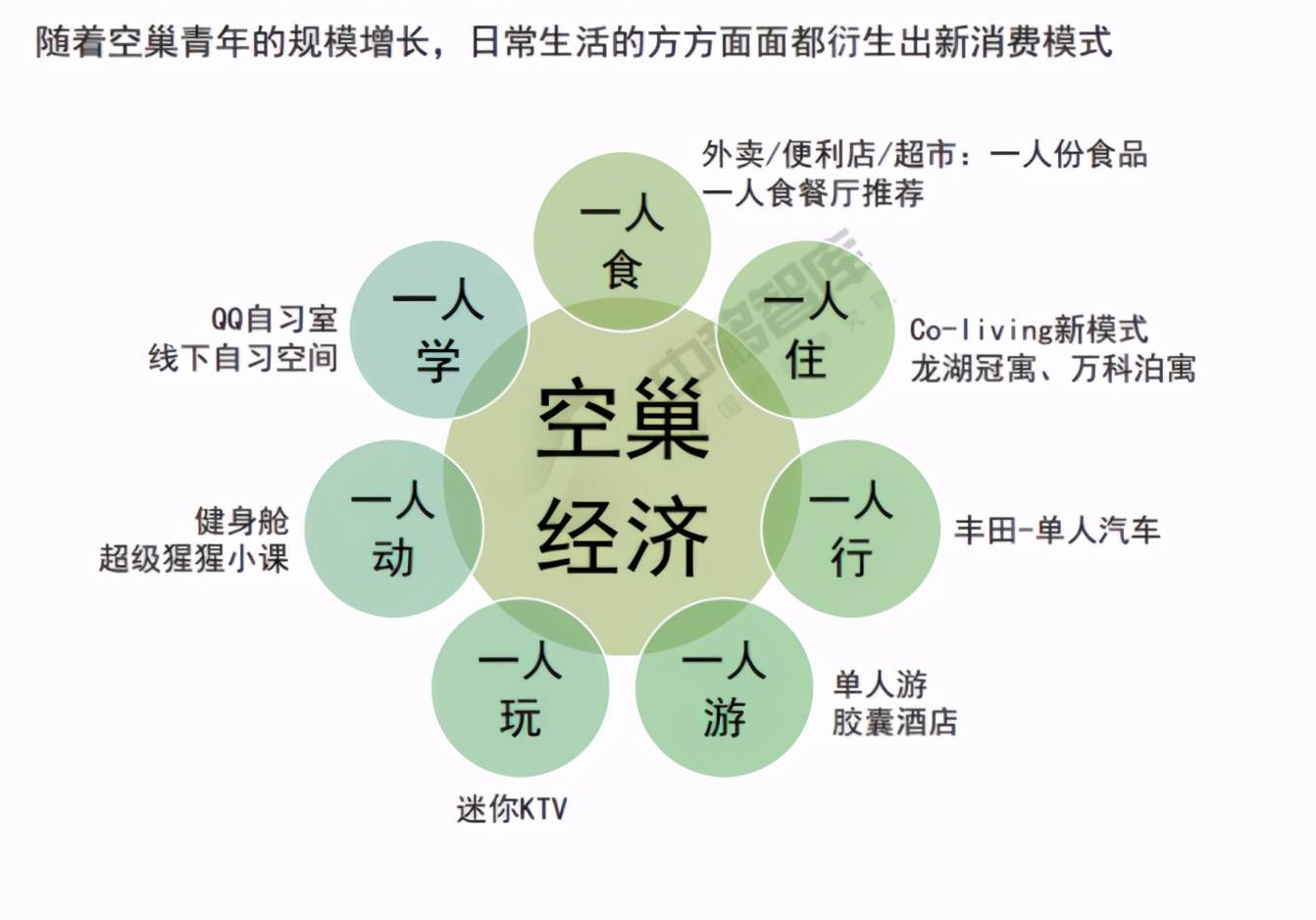 易事软件:2021年空巢青年生活图景大数据报告小鹏哥说生活·2021-05