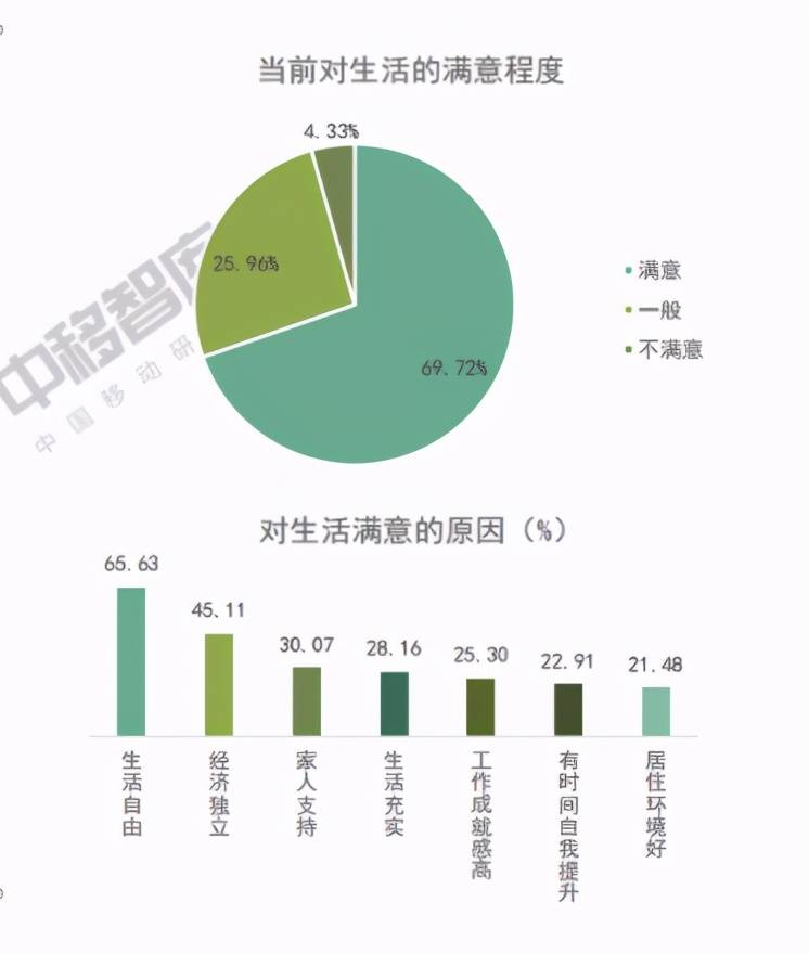 易事软件:2021年空巢青年生活图景大数据报告