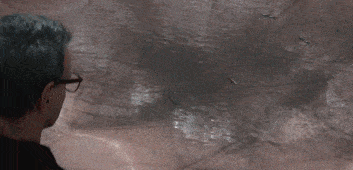 而普通人,最初面对这个庞然大物—— 与其说是敬畏,不如说是害怕.