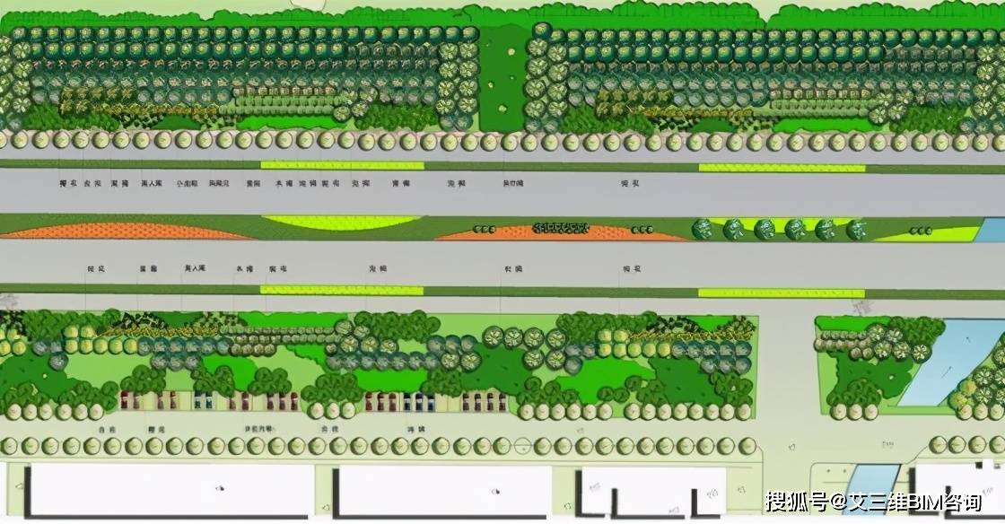 城市道路绿化设计技巧_人行道