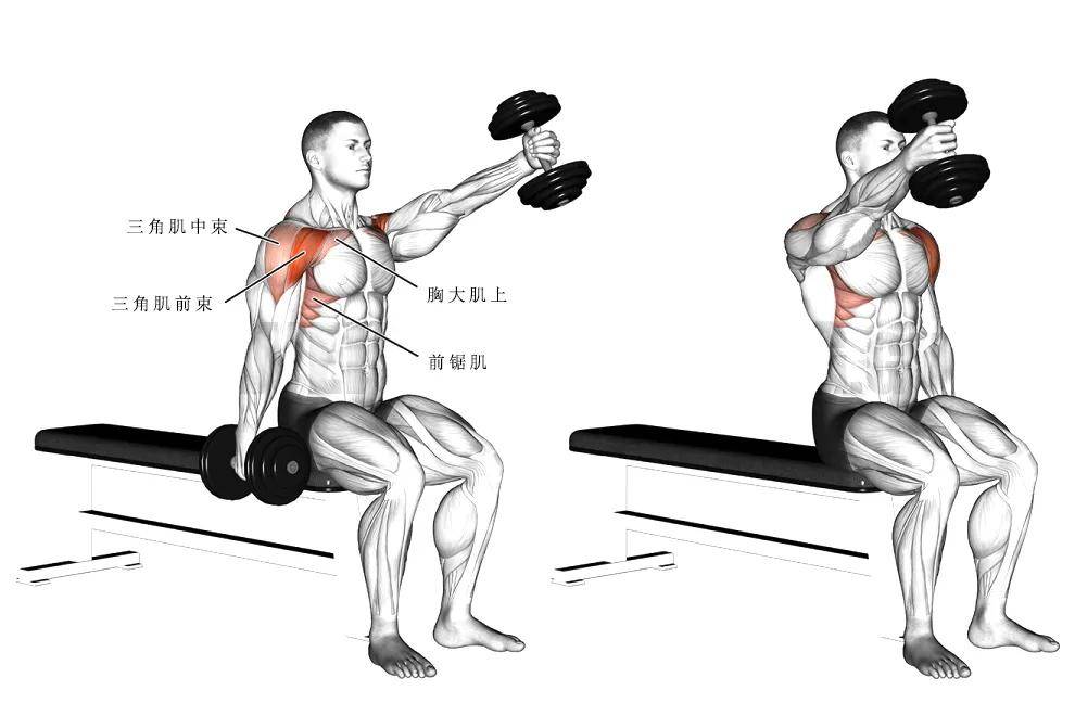 【耀健身】那些经典的肩部训练动作,帮你打造更饱满的三角肌!