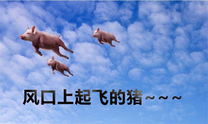 雷军曾说过一句很有名的话:在风口上猪都能飞起来!