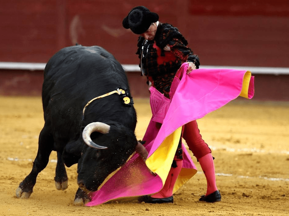 西班牙斗牛节如火如荼场面激烈大开眼界