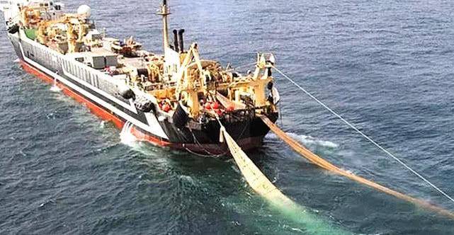 原创世界上最大的拖网渔船连鲨鱼都不会放过一次可捕捞300吨